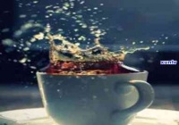 減肥瘦身茶有哪些