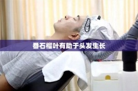 番石榴葉有助于頭發(fā)生長