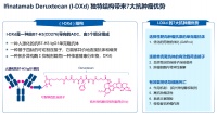 赵军教授：IDeate-Lung01 研究重磅更新，SCLC 治疗迎来新突破 | 2025 WCLC