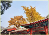 掌握全球健康作息时间表，提升生活质量和工作效率