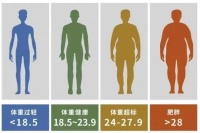 中醫(yī)減肥，怎么吃？