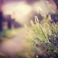 #杭州生活# 【自制...