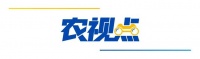 這顆中國(guó)蛋，竟在美國(guó)玩脫了！