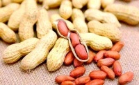 花生醬的營養(yǎng)與替代選擇：健康食用指導