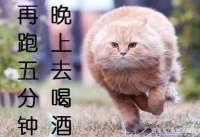 拳擊，到底能不能減肥？