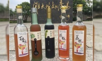 不銹鋼釀酒設備：夏季特色果酒趕緊做起來,水果釀酒技術大全