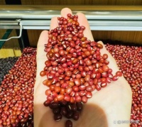 紅豆和這些食材搭配，做成美味的營養(yǎng)餐，讓孩子樂在其中！