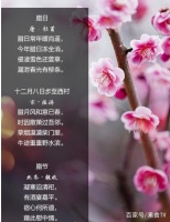 2019年臘八節(jié)迎來了感恩和辭舊迎新 素食TV