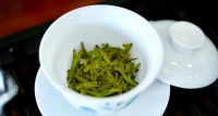 茶多酚的奧秘：茶葉健康功效的深度揭秘