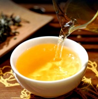 探秘茶葉保健功效：從茶多酚到生物堿的奧秘