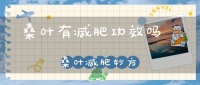 桑叶有减肥功效吗 桑叶减肥妙方
