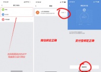 支付宝运动助手安卓版