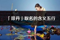 「瓊丹」取名的含義五行