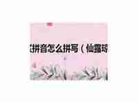 仙露瓊漿的拼音(仙露瓊漿的解釋)
