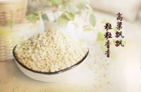 高粱的營養(yǎng)價值及功效，高粱的吃法大全