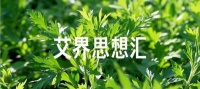 伊生泉：古法制艾的堅守者