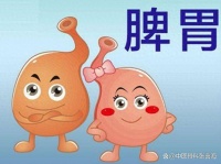 中醫(yī)教你調(diào)養(yǎng)脾胃，這些小妙招，收藏備用