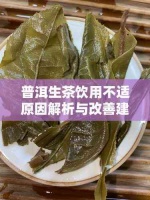 普洱生茶饮用不适原因解析与改善建议