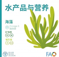 探索海洋奧秘：藻類Omega