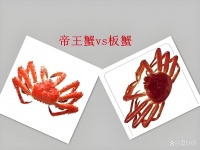 板蟹和帝王蟹有何不同？營養(yǎng)師解析：3大區(qū)別與5重健康價值