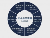 殼寡糖：健康食品新寵的奧秘揭秘