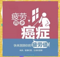 劳逸结合：健康生活与工作效率的平衡