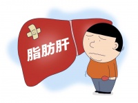 脂肪肝發(fā)病率越來(lái)越高，4類(lèi)因素最易患病，出現(xiàn)4類(lèi)癥狀及時(shí)就醫(yī)