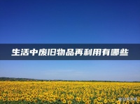 廢物循環(huán)再利用大全 讓垃圾為我們的生活更加美好