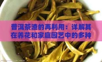 普洱茶渣的再利用：详解其在养花和家庭园艺中的多种用途