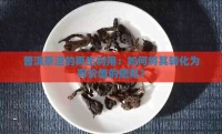 普洱茶渣的再生利用：如何将其转化为有价值的肥料？