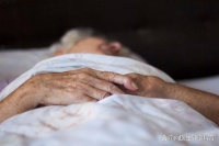 櫻桃大量上市！醫(yī)生提醒：睡眠不好的老人常吃，2個好處不請自來