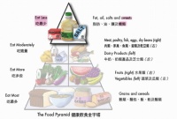 營(yíng)養(yǎng)素與健康：碳水化合物糖