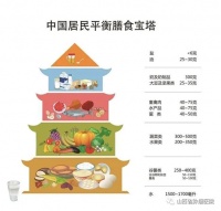 【温馨提示】营养与健康 健康教育