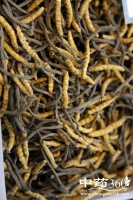 名贵养生药材 使用和保存都要讲究方法