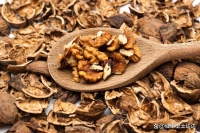 那些被扔掉的中药分心木，碧根果果仁中间的分心木有什么作用？