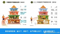 2022中國(guó)居民膳食指南新版解讀（兒童）