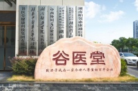 谷医堂：强化科技中医建设，全方位开启数智化转型新篇