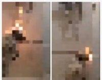 火烧！开水烫！男子在“昆明流浪狗救助”群发虐狗视频！自称靠这赚了不少钱