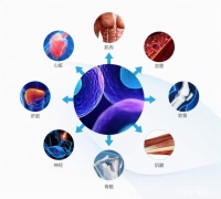 一直瘦不了全因新陳代謝慢？2種運(yùn)動(dòng)有效提升代謝燃燒脂肪