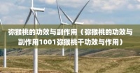 弥猴桃的功效与副作用（弥猴桃的功效与副作用1001弥猴桃干功效与作用）