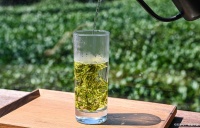 綠茶的保質(zhì)期密碼：揭開茶葉“賞味期限”背后的科學(xué)真相