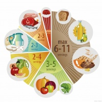營養(yǎng)科醫(yī)生分享那些超乎想象的減肥奇招，讓你大開眼界