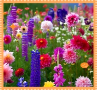 探索世界上最健康的生活習(xí)慣：實現(xiàn)難度如何？