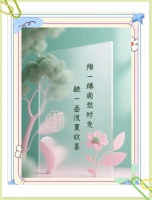 早春冷茶中的生活禪意和哲思