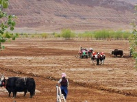 低社會(huì)經(jīng)濟(jì)地位與健康風(fēng)險(xiǎn)：生活方式的影響和干預(yù)策略