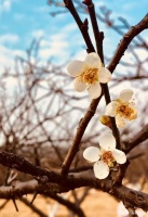 大學(xué)生獨(dú)立生活的開(kāi)始，你準(zhǔn)備好了嗎？