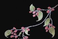 全面健康：身體、心理與社會適應(yīng)的平衡