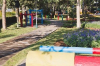 杭州市的體育公園，夏天的健身活動(dòng)如何？