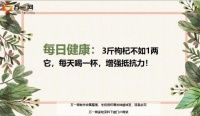 每日健康3斤枸杞不如1兩它每天喝一杯增強抵抗力9頁.ppt