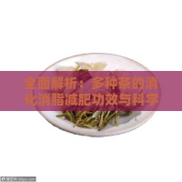 全面解析：多種茶的消化消脂減肥功效與科學(xué)飲用方法